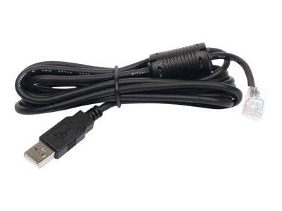 APC - USB-Kabel - USB (M) bis RJ-45 (10-polig) (M)