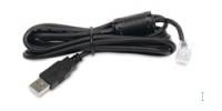 APC - USB-Kabel - USB (M) bis RJ-45 (10-polig) (M)