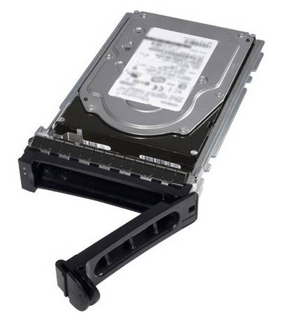 Dell - Festplatte - 12 TB - Hot-Swap - 3.5" (8.9 cm)