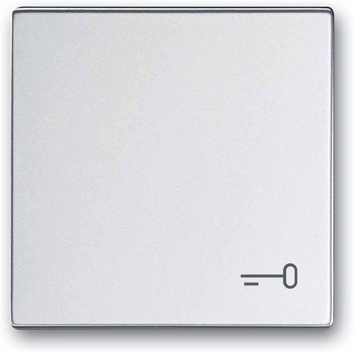 Busch-Jaeger Wippe mit Aufdruck 2520 TR-83