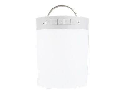 Manhattan Sound Science Bluetooth Speaker (Clearance Pricing)