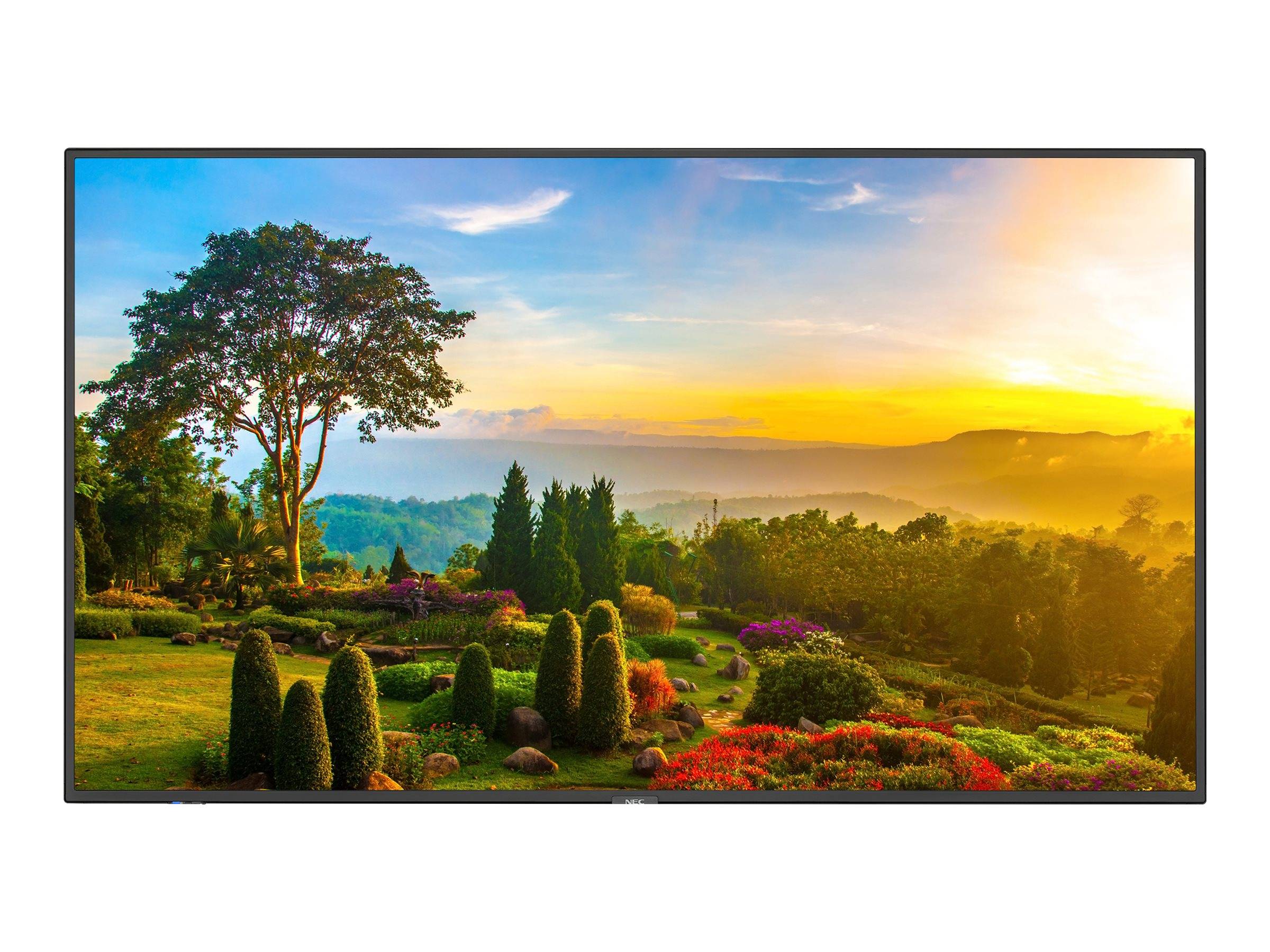 NEC MultiSync m551 - 138.8 cm (55") Diagonalklasse M Series LCD-Display mit LED-Hintergrundbeleuchtung - Digital Signage - mit Touchscreen