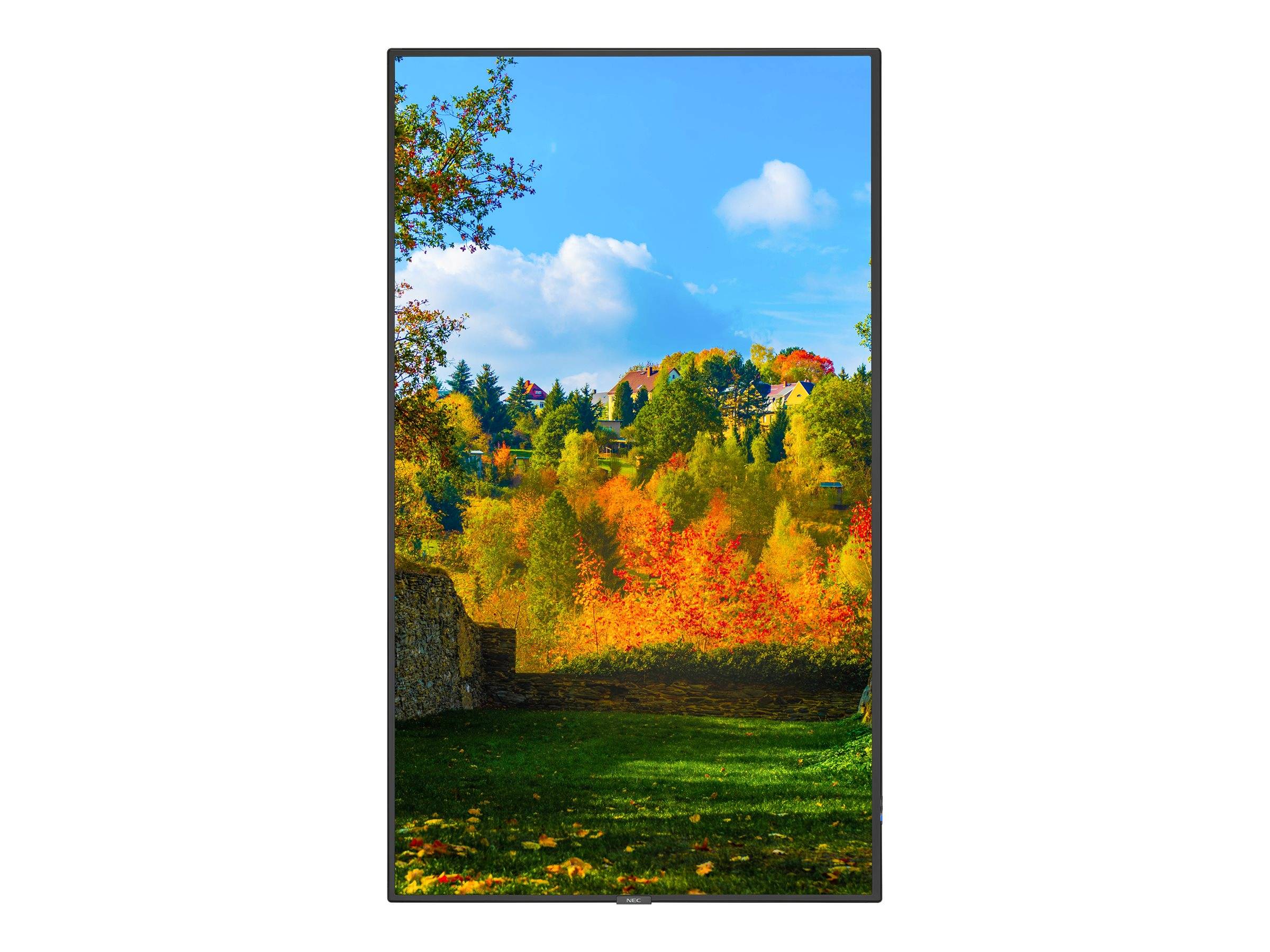 NEC MultiSync m551 - 138.8 cm (55") Diagonalklasse M Series LCD-Display mit LED-Hintergrundbeleuchtung - Digital Signage - mit Touchscreen