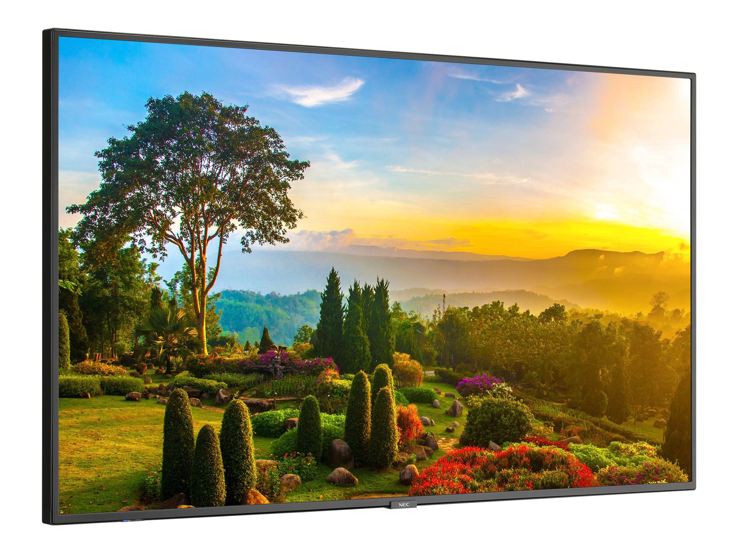 NEC MultiSync m551 - 138.8 cm (55") Diagonalklasse M Series LCD-Display mit LED-Hintergrundbeleuchtung - Digital Signage - mit Touchscreen