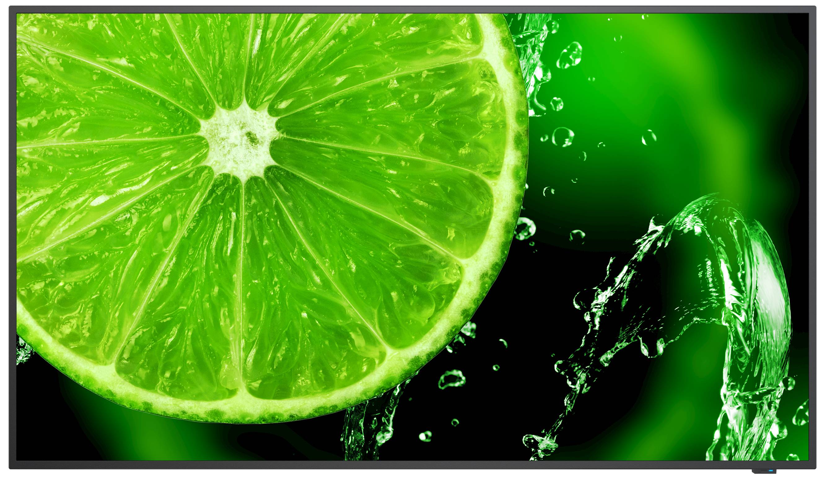 NEC DISPLAY - NEC MultiSync E498 - 124 cm (49"") Diagonalklasse (123.2 cm (48.5"")