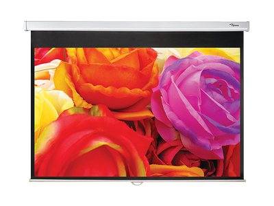 Optoma DS-1095PMG+ - Leinwand - Deckenmontage möglich, geeignet für Wandmontage - 241 cm (95")