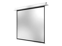celexon Electric Professional Plus Ceiling Recessed - Leinwand - Deckenmontage m
