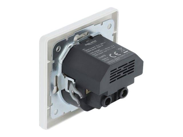 DeLOCK - Steckdose - 2P+E - Typ F, USB - einfach