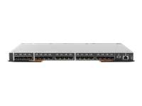 Lenovo Flex System FC5022 24-port 16Gb SAN Scalable Switch - Switch - managed