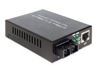 DeLOCK - Medienkonverter - 100Mb LAN - 10Base-T, 100Base-FX, 100Base-TX