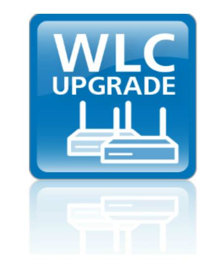 LANCOM WLC-4100 - Upgrade-Lizenz - 100 zusätzliche