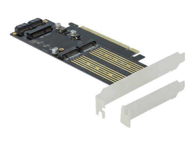 Delock - Speicher-Controller - mSATA, M.2 - M.2 Card / mSATA