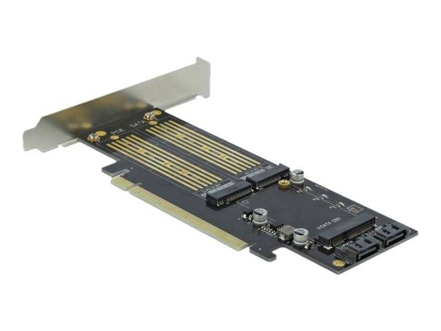 Delock - Speicher-Controller - mSATA, M.2 - M.2 Card / mSATA