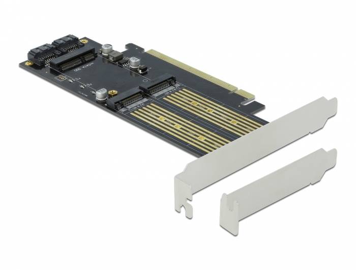 Delock - Speicher-Controller - mSATA, M.2 - M.2 Card / mSATA