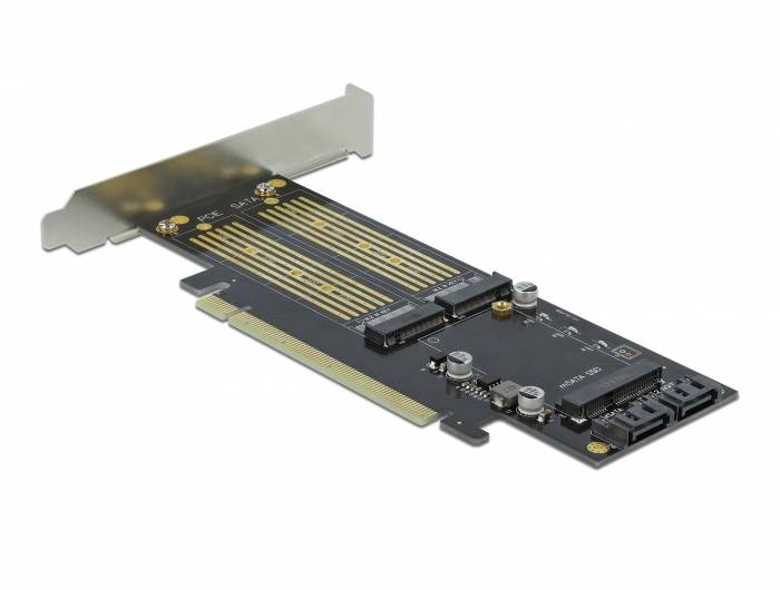 Delock - Speicher-Controller - mSATA, M.2 - M.2 Card / mSATA