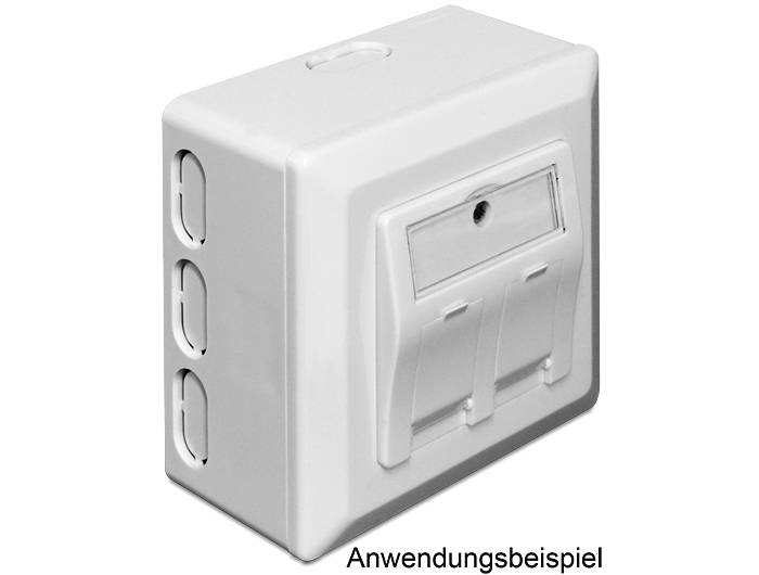 Delock Back Box - Installationskasten Netzwerkoberfläche