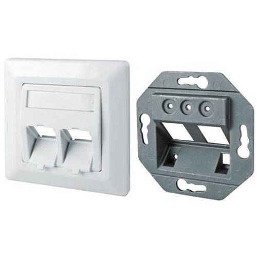 DeLOCK Tragring für Keystone-Module, 2-fach, Unterputz, reinweiß RAL 9010