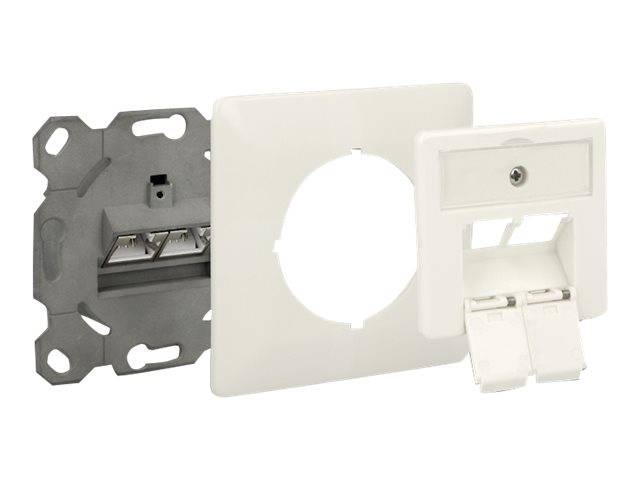 DeLOCK Modular Wall Outlet flush mount 2 Port Cat.6A LSA