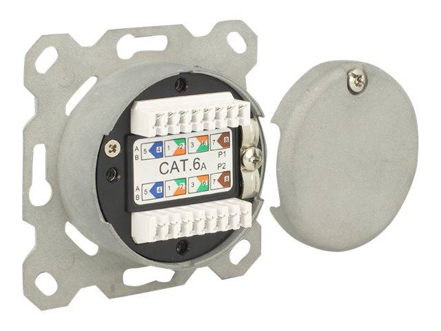 DeLOCK Modular Wall Outlet flush mount 2 Port Cat.6A LSA