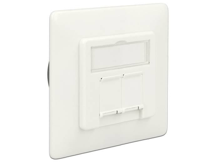 DeLOCK Modular Wall Outlet flush mount 2 Port Cat.6A LSA