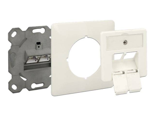 DeLOCK Modular Wall Outlet flush mount 2 Port Cat.6A LSA