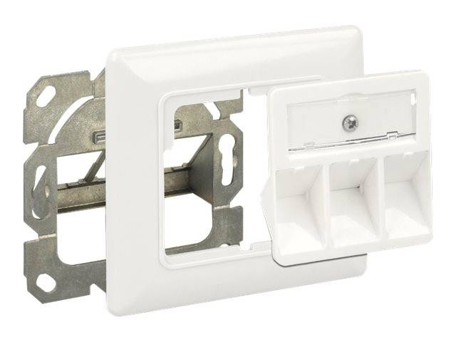 DeLOCK Keystone Wall Outlet - Wanddose - Pure White, RAL 9010