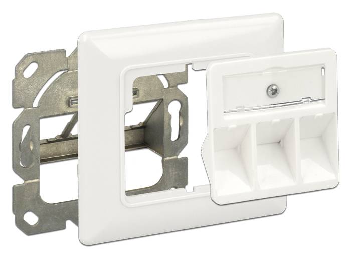 DeLOCK Keystone Wall Outlet - Wanddose - Pure White, RAL 9010
