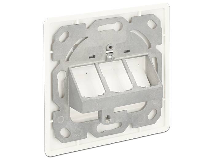 DeLOCK Keystone Wall Outlet - Wanddose - Pure White, RAL 9010