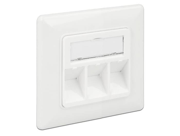 DeLOCK Keystone Wall Outlet - Wanddose - Pure White, RAL 9010