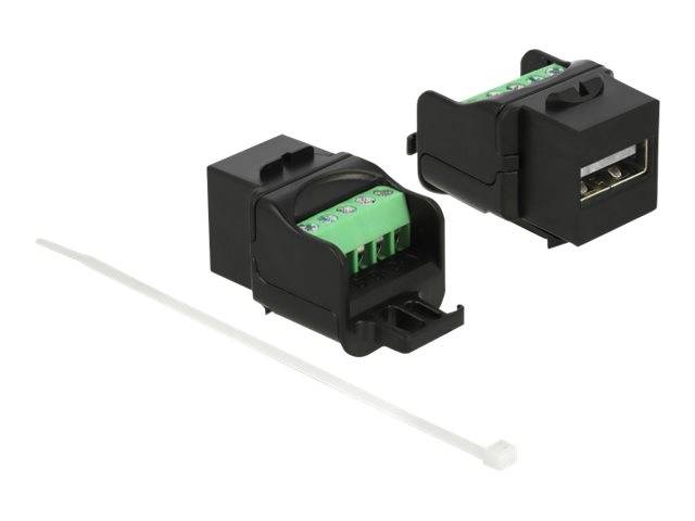 DeLOCK - Modulare Eingabe - USB 2.0 Type A