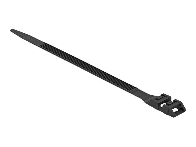 DeLOCK Cable Tie with Double Locking - Kabelbinder