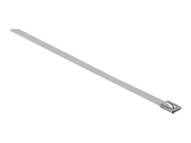 DeLOCK - Kabelbinder - 30 cm (Packung mit 10)