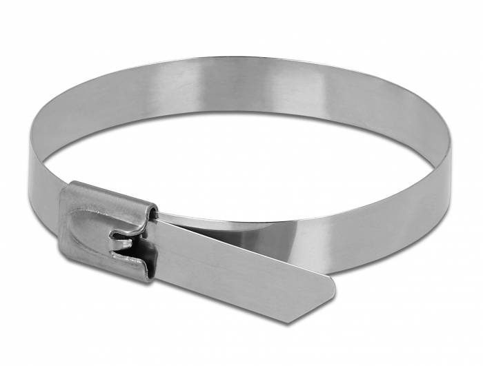 DeLOCK - Kabelbinder - 30 cm (Packung mit 10)