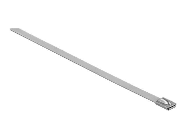 DeLOCK - Kabelbinder - 15 cm (Packung mit 10)
