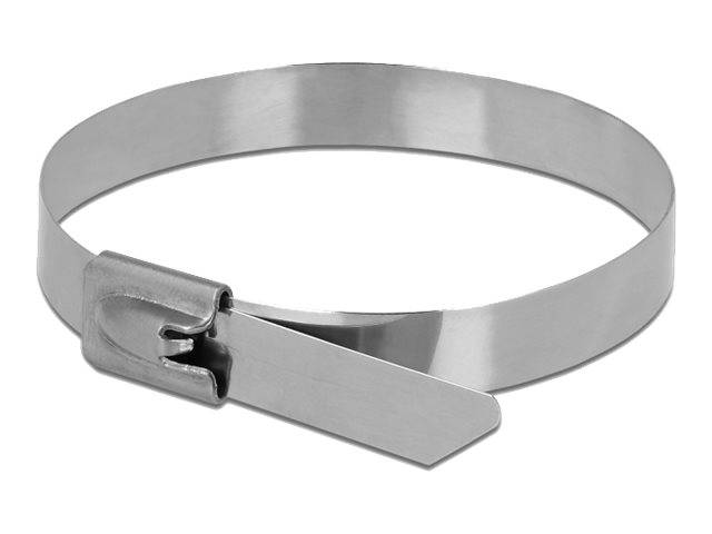 DeLOCK - Kabelbinder - 15 cm (Packung mit 10)