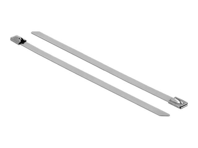 DeLOCK - Kabelbinder - 15 cm (Packung mit 10)