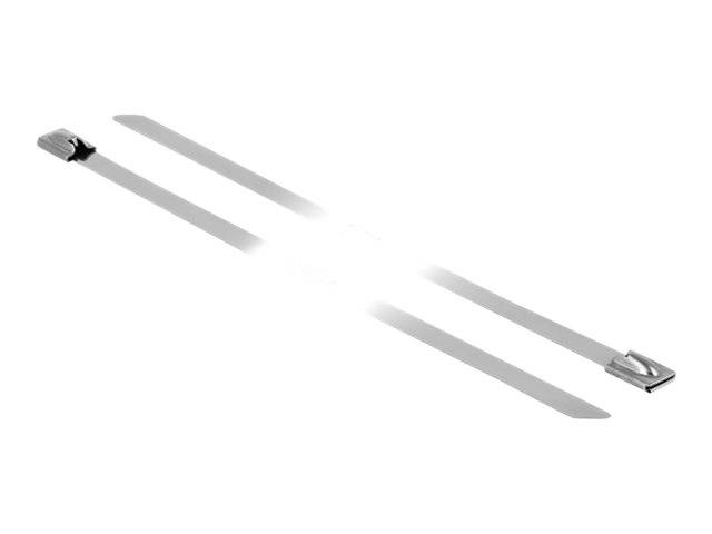 DeLOCK - Kabelbinder - 20 cm (Packung mit 10)