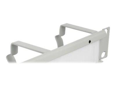 DeLOCK Cable Management Brush Strip with 3 hooks - Kabelführungspanel mit Bürste - Grau - 1U - 25.4 cm (10")