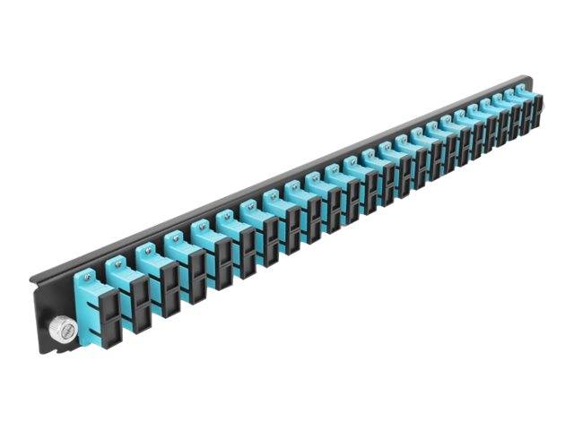 DeLOCK - Glasfaser-Spleißboxpaneel - Vorderseite - SC SM X 48 - Schwarz, Aquamarin - 1U - 48.3 cm (19")