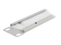 DeLOCK - Kabelführungspanel mit Bürste - Grau - 1U - 48.3 cm (19")