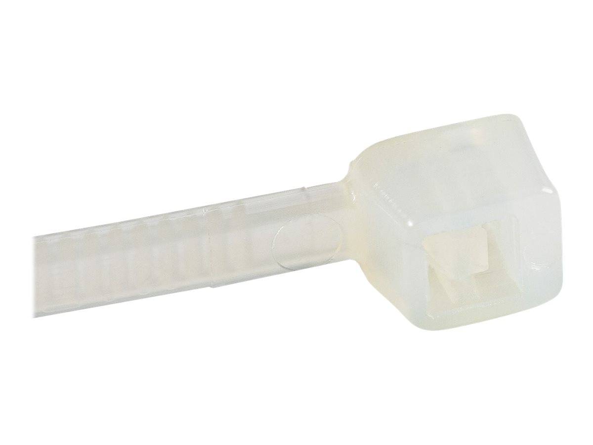 StarTech.com Kabelbinder 100x2 mm - Selbstsichernde Nylon-Kabelbinder mit Gebogener Spitze, Bündeldurchmesser bis zum 22