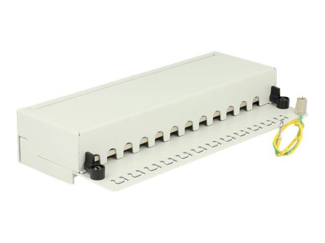 DeLOCK - Patch Panel - RJ-45 X 12 - Hellgrau