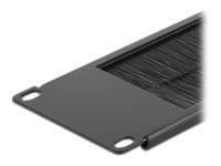 DeLOCK Cable Management Brush Strip - Kabelführungspanel mit Bürste - Schwarz - 2U - 48.3 cm (19")
