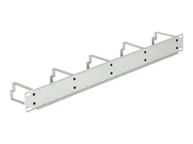 DeLOCK - Kabelmanagement - Hellgrau, RAL 7035 - 1U - 48.3 cm (19"")