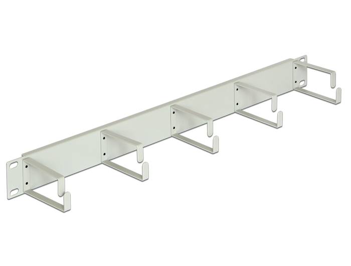 DeLOCK - Kabelmanagement - Hellgrau, RAL 7035 - 1U - 48.3 cm (19"")
