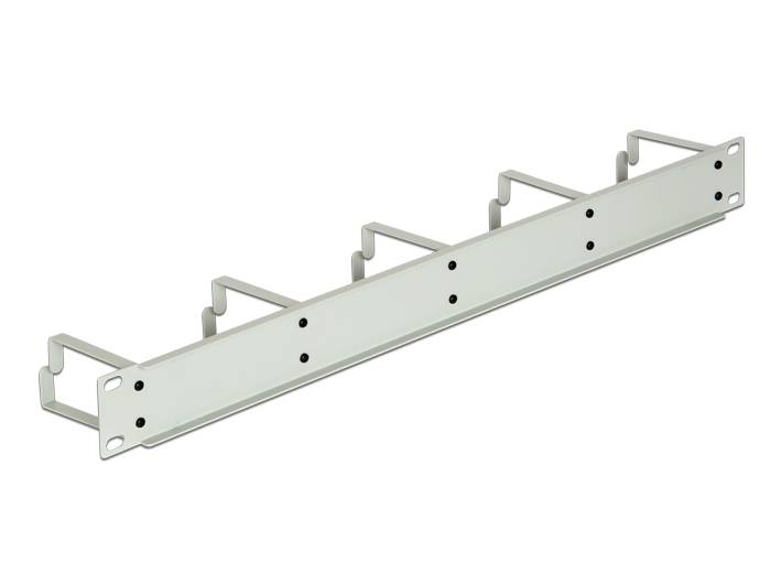 DeLOCK - Kabelmanagement - Hellgrau, RAL 7035 - 1U - 48.3 cm (19"")