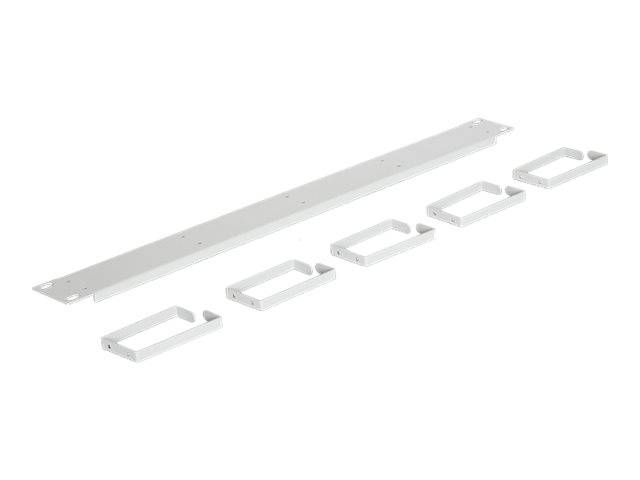DeLOCK - Kabelmanagement - Hellgrau, RAL 7035 - 1U - 48.3 cm (19"")