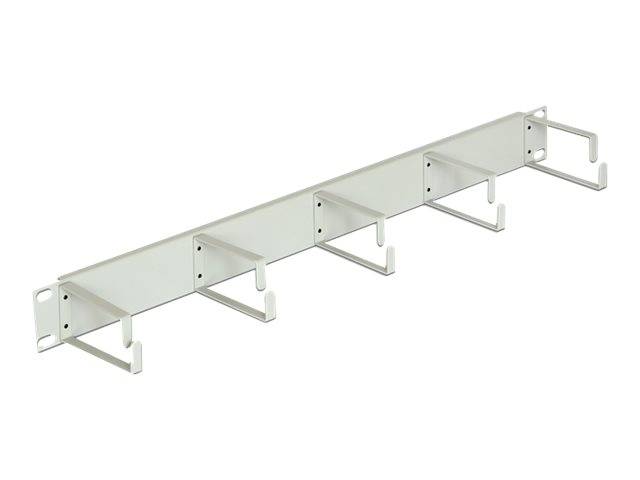 DeLOCK - Kabelmanagement - Hellgrau, RAL 7035 - 1U - 48.3 cm (19"")
