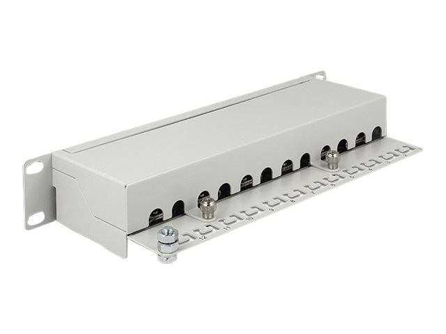 DeLOCK - Patch Panel - RJ-45 X 12 - Hellgrau, RAL 7035 - 1U - 25.4 cm (10")