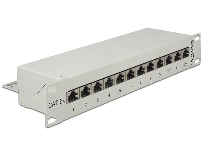 DeLOCK - Patch Panel - RJ-45 X 12 - Hellgrau, RAL 7035 - 1U - 25.4 cm (10")